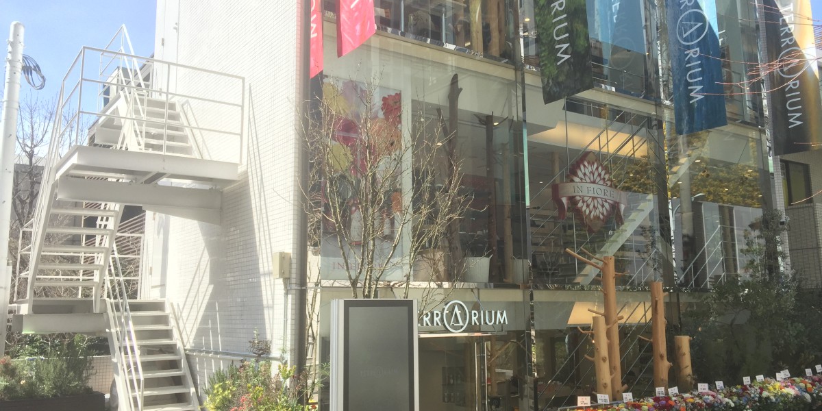 テラリウム表参道