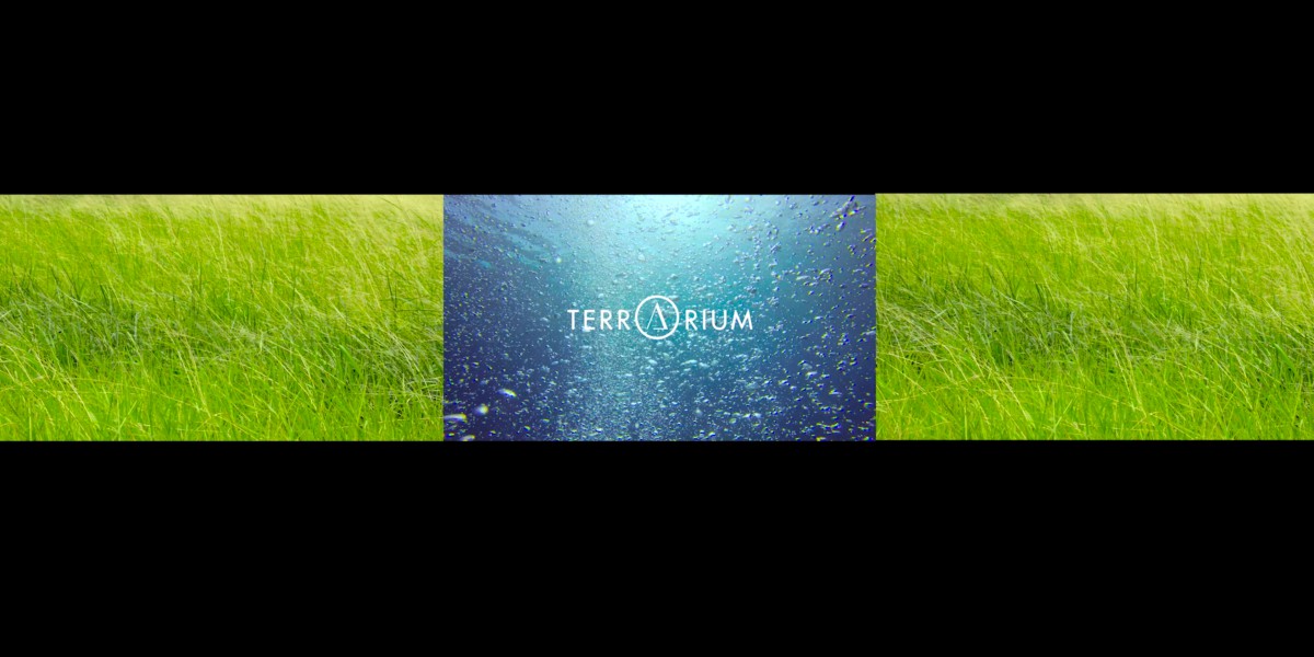 セラピームービー/テラリウム表参道